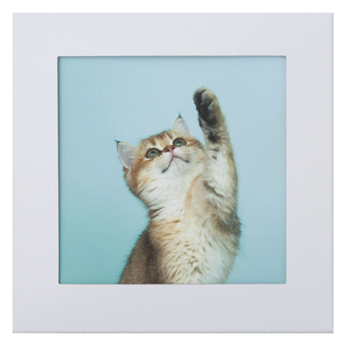 「アートトワレ ねこ 003-cat 壁に飾る防災トイレ処理セット(5回分) ATW-5」は、インテリアにもなる災害用トイレ処理セットです。緊急災害用に開発し、大小兼用の備蓄トイレです。水を使わずに、