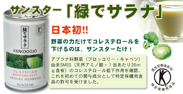 高額クーポン配布中 緑でサラナ 60本 - 飲料/酒